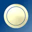 Sobriety Coin
