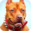 Pitbull Wallpaper 1.4