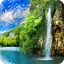 Forest Waterfall Wallpaper 2.6.0