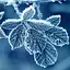 Winter Wallpapers [HD quality] 10.21.1002