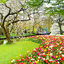 Beautiful Garden Wallpaper 1.0
