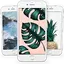Tropical Wallpapers 1.0