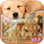 Dynamic Sleeping Puppy Keyboar 7.0.1_0126