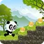 Jungle Panda Run 1.07