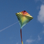 Kite Flying 2024 (Kite Game) 1.5.1