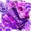Purple rose live wallpaper 24.0