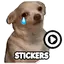 Dog meme sticker WAStickerApps 3.2.0