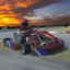 Go Karts Racing 3D - Extreme Go Karts Driving Simulator 1.2