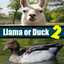 Llama or Duck Quiz 2 2.0