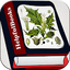 Herbal medicines plant 43.0