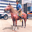 Horse Chase: Police Game Thief 1.36