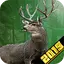 Big Buck 3D Deer Hunting Games 1.2