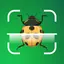 Insect identifier: Bug, Spider