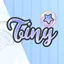 Tiny Mirror