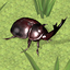 Bug Battle Simulator 1.6