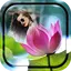 Lotus Photo Frame 4.9