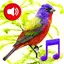 Birds Sounds Tones & Wallpaper 1.4