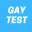 Gay Test 13.0