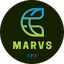 Marvs VPN Marvs v34
