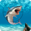 Wild Shark Fish Hunting game 1.1.6