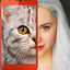 Kitten: what cat are you? joke 3.6.2