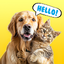 PetTalk
