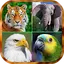 صدای پرندگان و حیوانات 1.2