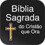 Bíblia Sagrada Cristão que Ora 65.0