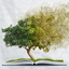 Bible #rbhw 3.0