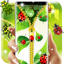 Ladybug lock screen 10.0