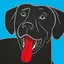 BringFido Pet Friendly Hotels 1.3.4