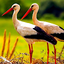 The White Stork 1.1.6