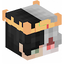 Ranboo Skins 1.3