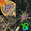 3D Biology + 2.0