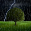 Thunderstorm Live Wallpaper 2.25
