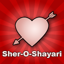 Hindi Sher O Shayari Love/Sad 9