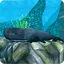 Whale Sim - Sea Eater 1.0