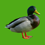 Progressive Duck Decoy 0.19.37.0110