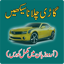 Learn Driving in Urdu 3.2.8