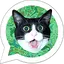 Sticker Creator WAStickerApps 1.3.3