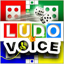 Ludo Voice 1