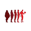 My Evolution Fitness