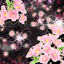 Cheery Blossom Mystic Theme 2.0.11
