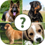 Pups Pet Trivia Pro 1.2