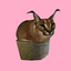 floppa.png 0.9.2