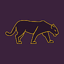 VPN Panther: Express & Secure 2.5.7