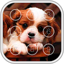 Puppy Dog Pin Lock Screen 60.2