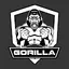 Gorilla (Anti Theft) 1.0.9