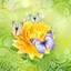 Cute Butterfly Live Wallpaper 1.0.7