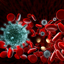 Immune System 82.3.08